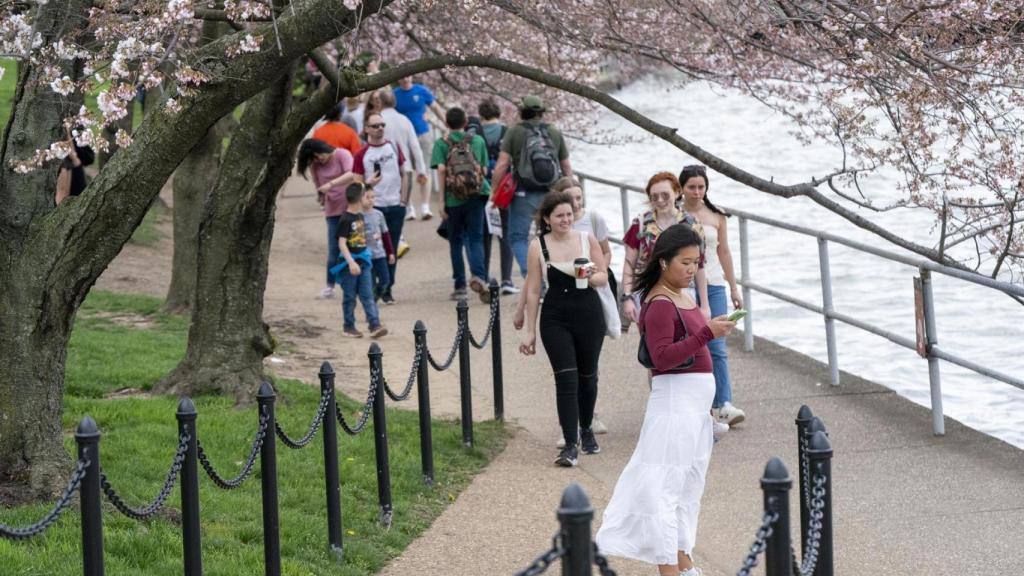 Varias personas pasean por el Servicio de Parques Nacionales de Washington (Estados Unidos).