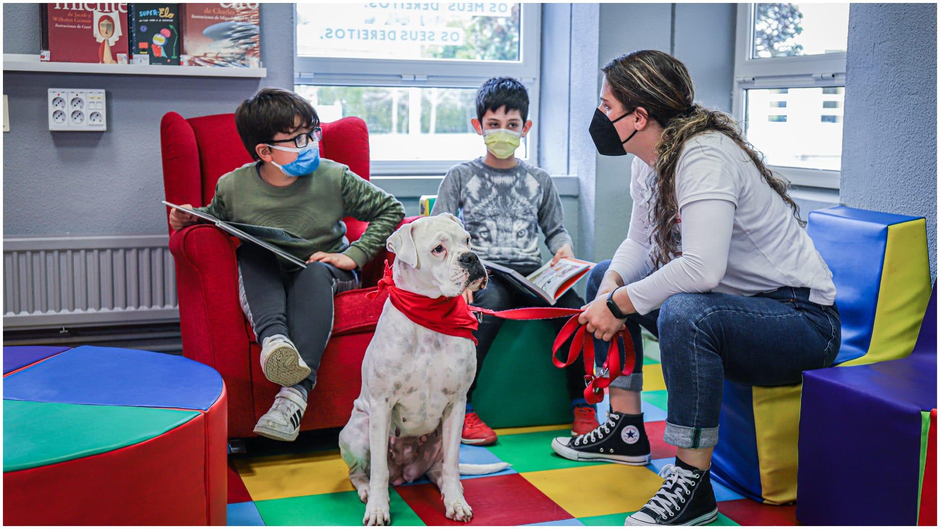 Una sesión con la perrita Dana.