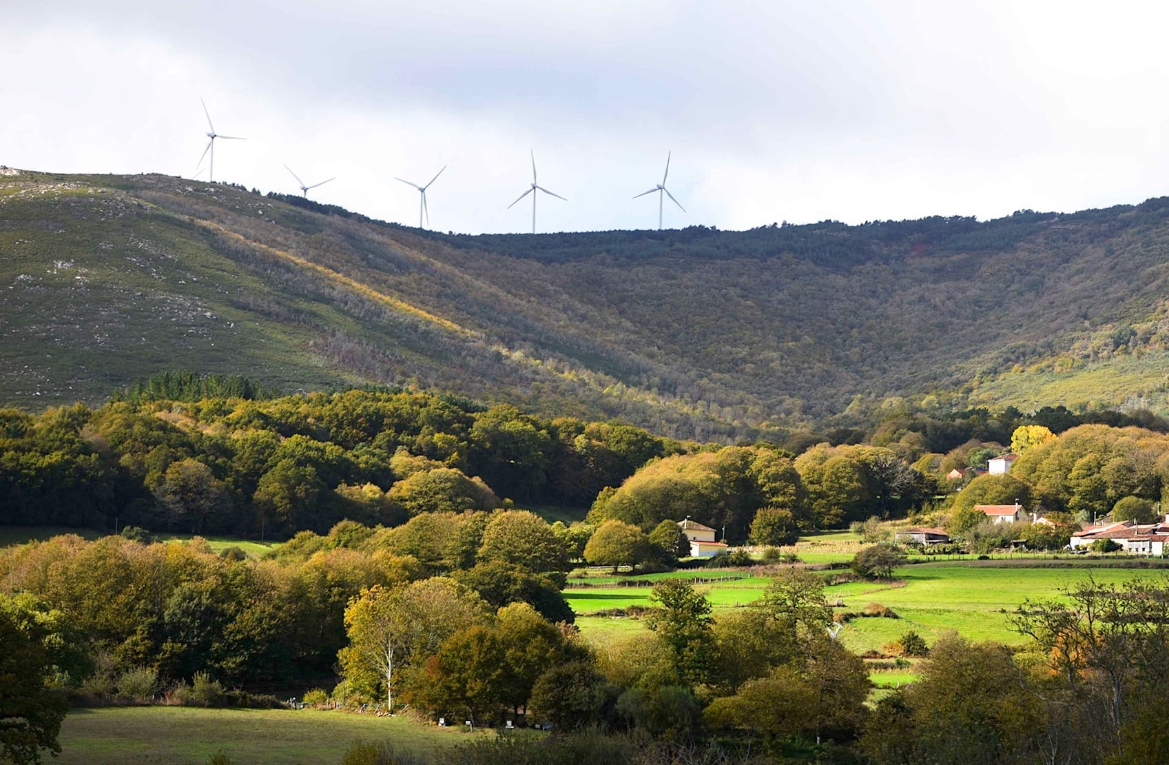 Paisaje otoñal en la subida hacia el Monte Faro. Foto: Concello de Chantada