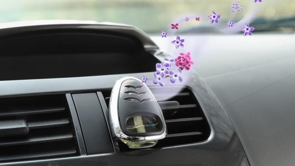 Los 10 mejores ambientadores para el coche relación calidad-precio del 2024