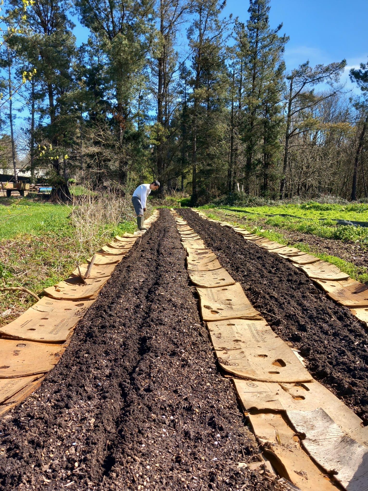 La tierra que trabaja Millo e Landras (Cedida).