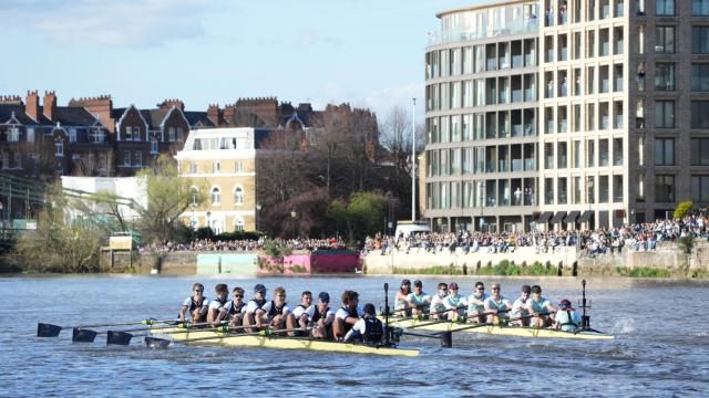 Las embarcaciones de Cambridge y Oxford, durante la prueba.