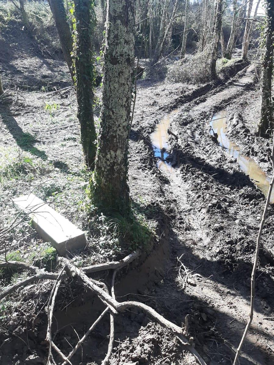 Foto: Concello de Miño