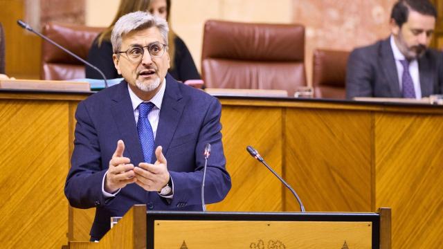 El portavoz adjunto del PSOE andaluz, Josele Aguilar, en una intervención en el Parlamento.