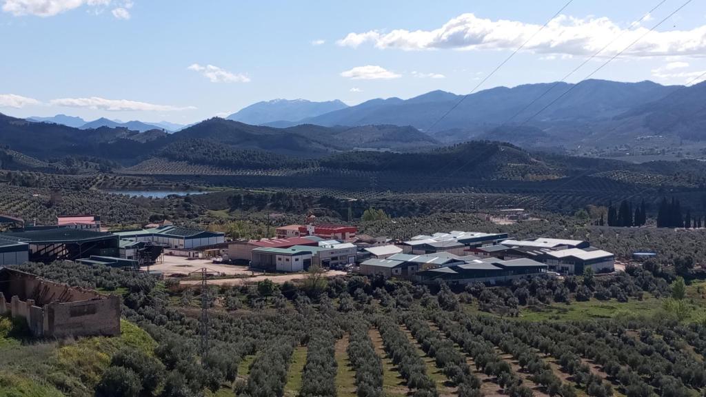 La Cooperativa de Nuestra Señora de la Asunción está a la entrada de Orcera, en medio de cientos de olivos.