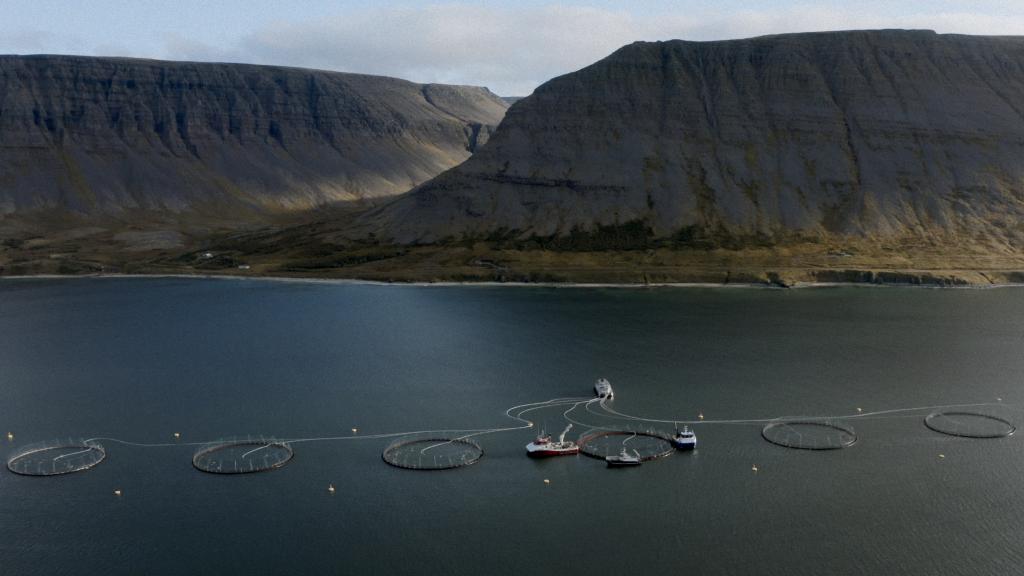 Fotograma del documental 'A Salmon Nation'.