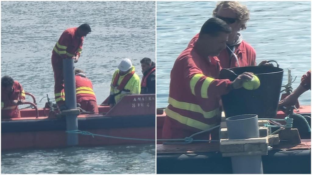 Ensayo en la ría este martes