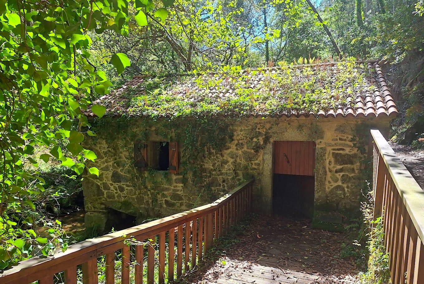 Molino a orillas del río Negro. Foto: Google Earth