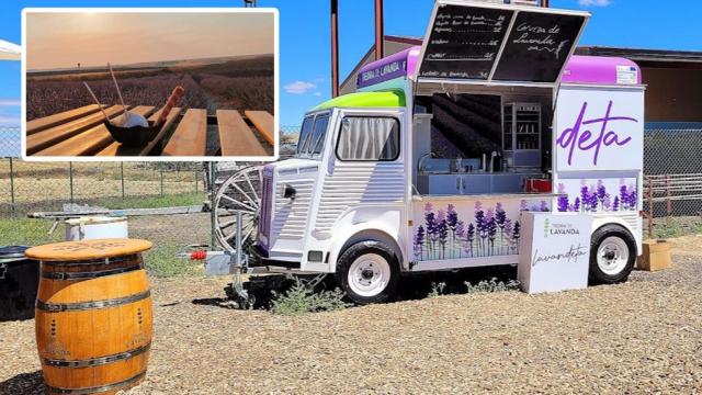 La Lavandeta y un helado de lavanda