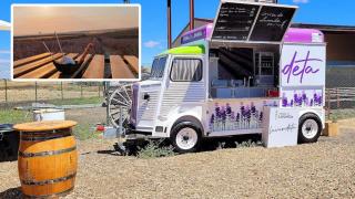 La Lavandeta y un helado de lavanda