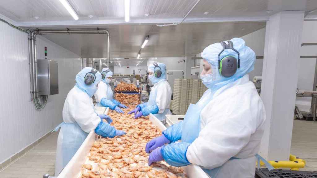 Planta de Zaragoza de la pesquera gallega Profand.