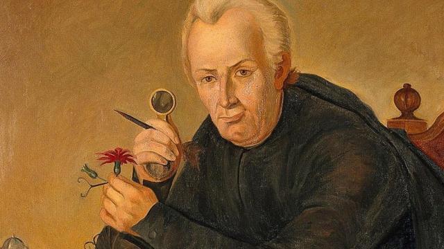 Detalle del retrato de José Celestino Mutis de R. Cristóbal (1930)