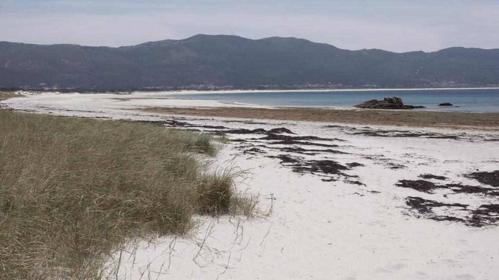 Playa de Caldebarcos en Carnota.