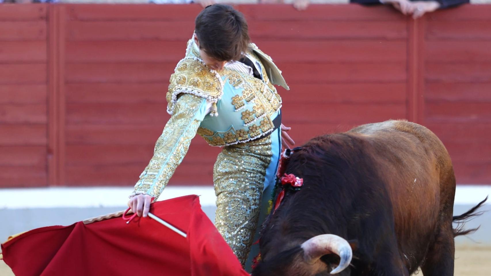 El certamen de novilleros 'Alfarero de Plata' ya tiene semifinalistas en Villaseca de la Sagra
