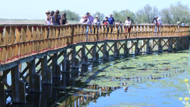 Las Tablas de Daimiel la pasada Semana Santa.