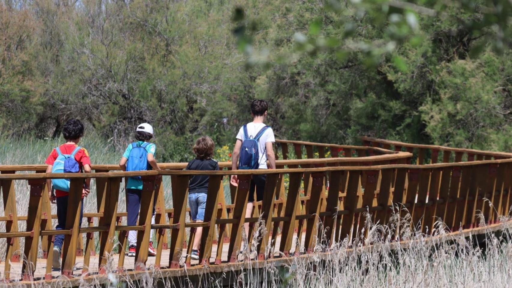 Fotogalería | Agua, vida y naturaleza en las Tablas de Daimiel tras las lluvias de Semana Santa