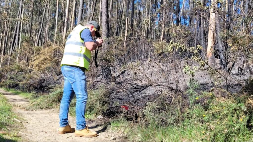 Trabajos en la superficie quemada