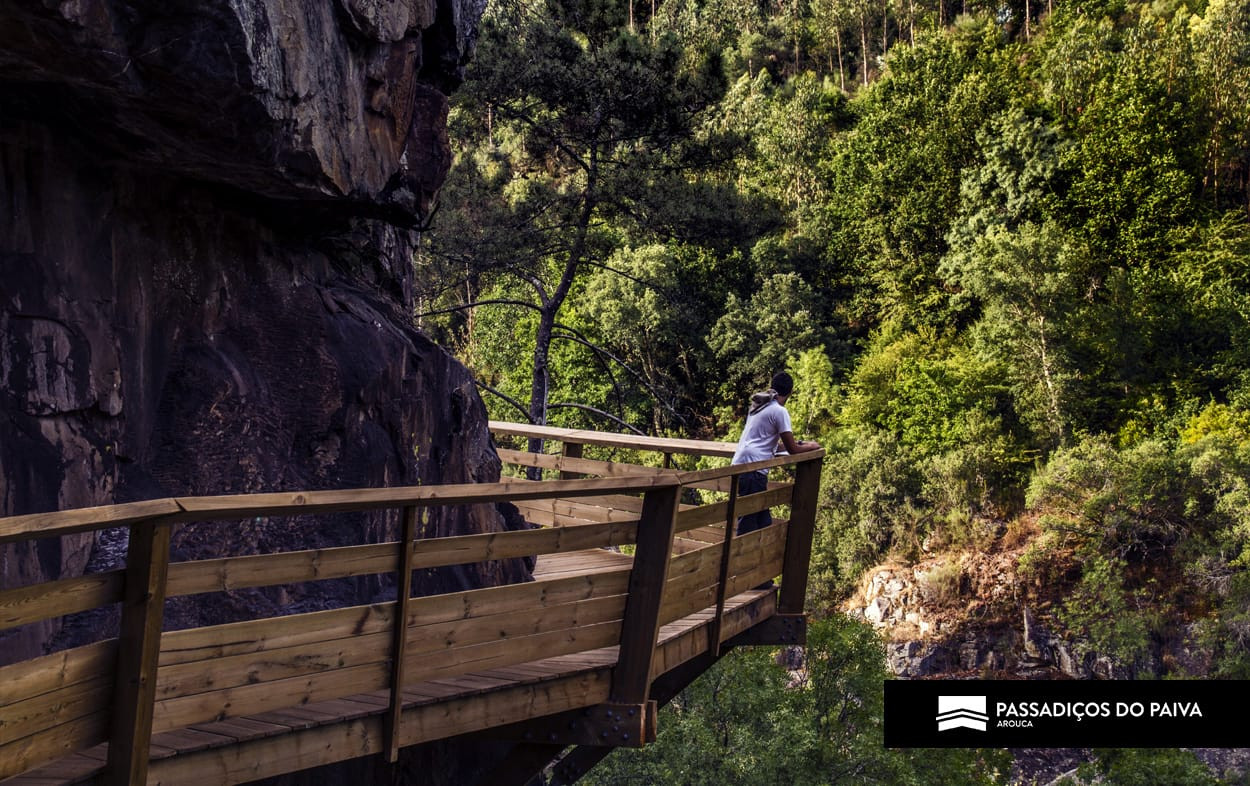 Paisaje de los Pasadizos del Paiva.