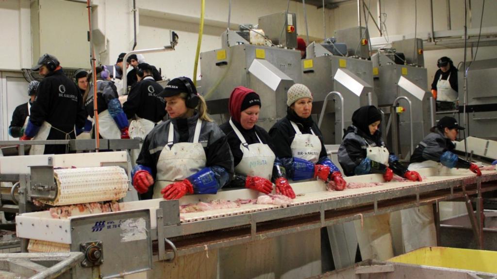 Los trabajadores de Brødrene Karlsen AS, el pasado mes de febrero.