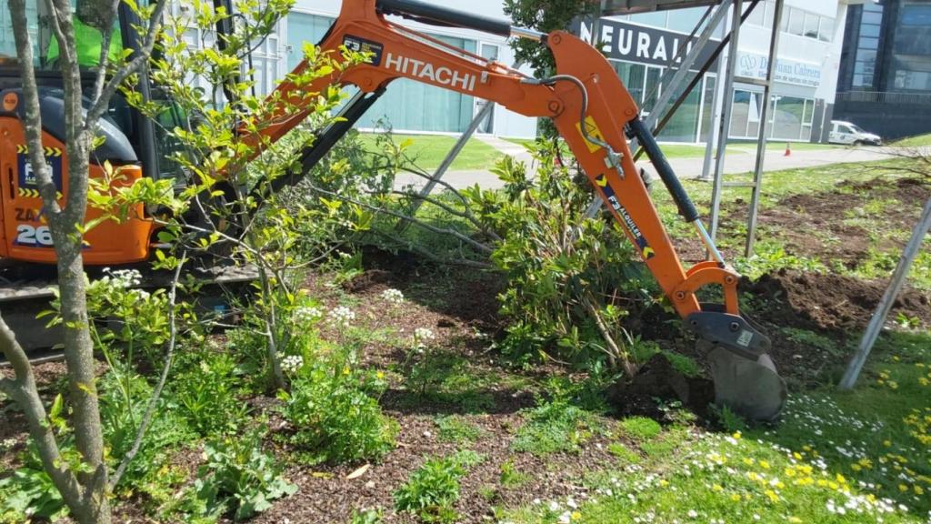 La maquinaria trabaja en la retirada de los árboles.
