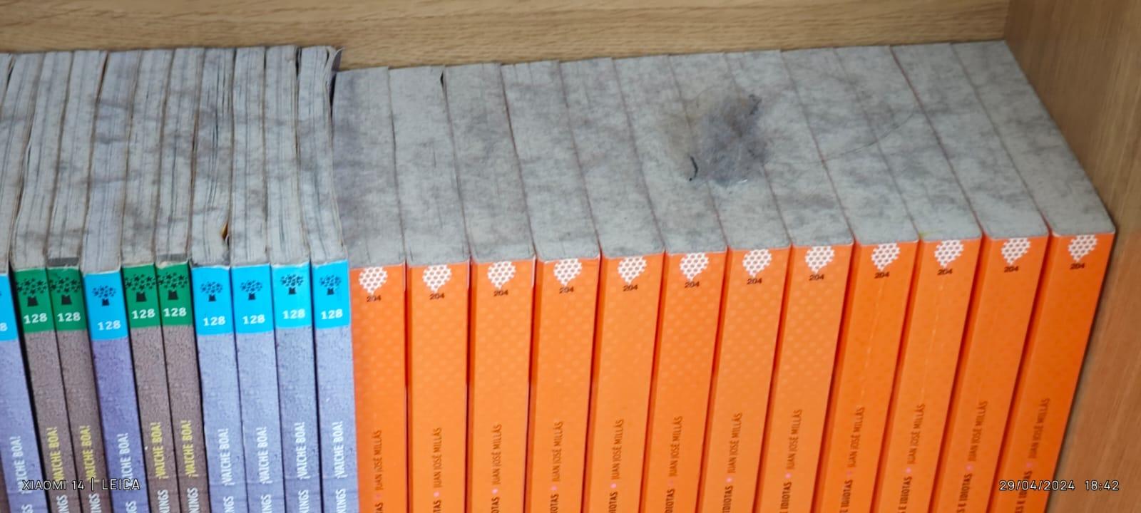 Suciedad acumulada en Ceip Graxal, en Culleredo