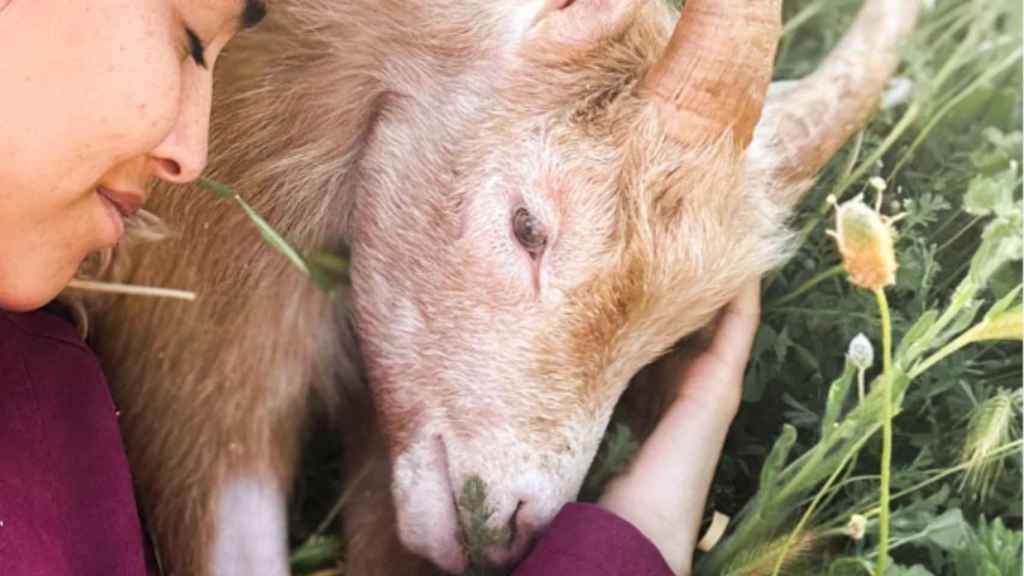 Borbón y Natalia Rodríguez.