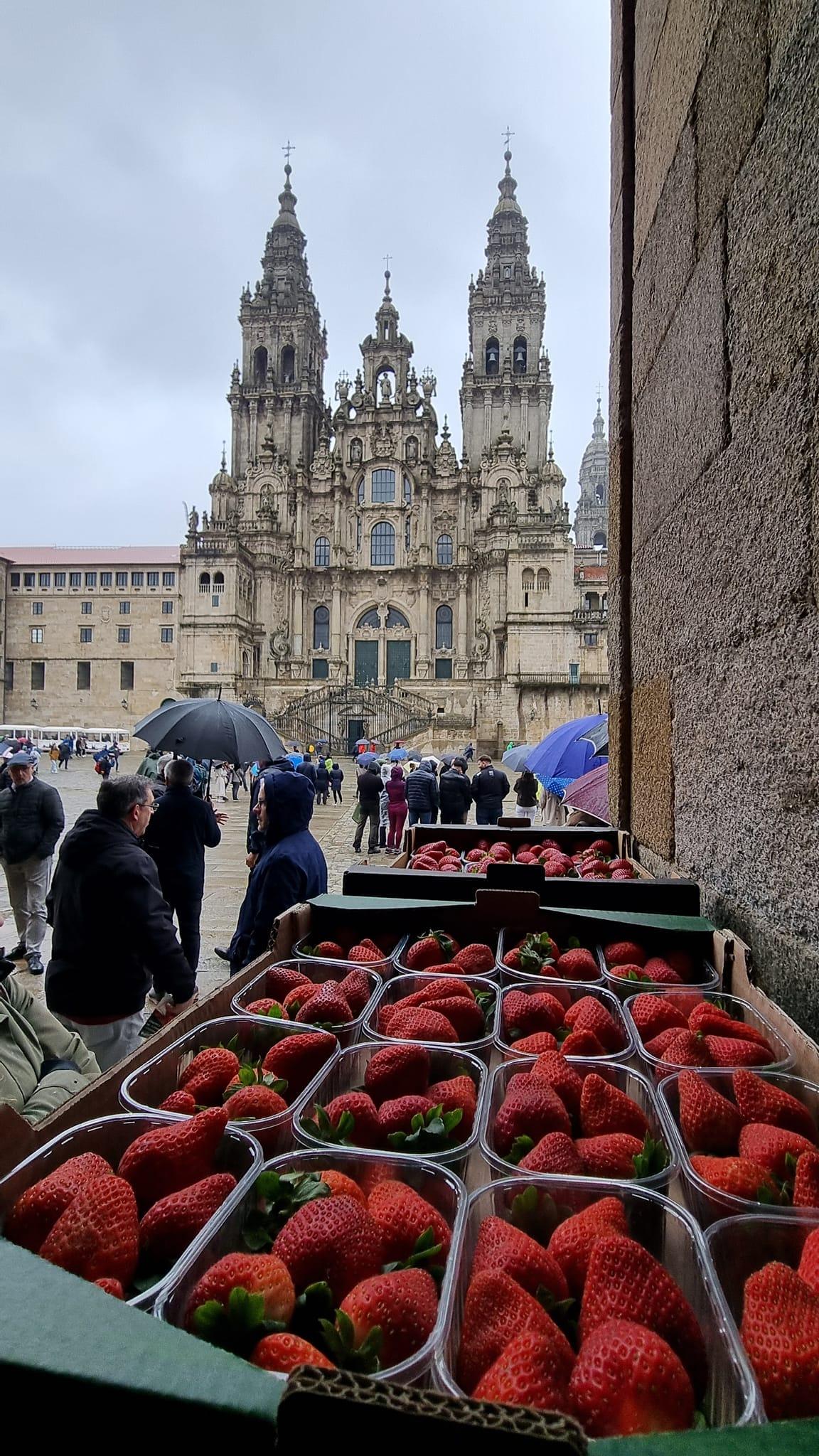 Reparto de fresas en el Obradoiro. Unións Agrarias.