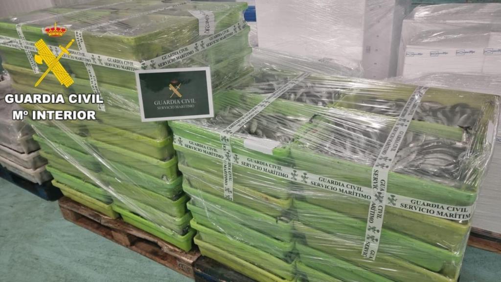 Sardinas intervenidas