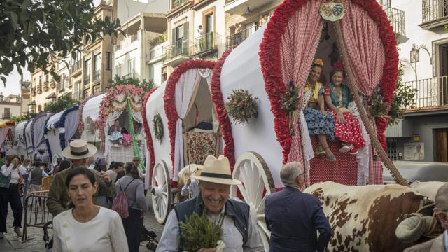 Carretas de la Hermandad de El Rocío de Triana en la peregrinación de 2023.
