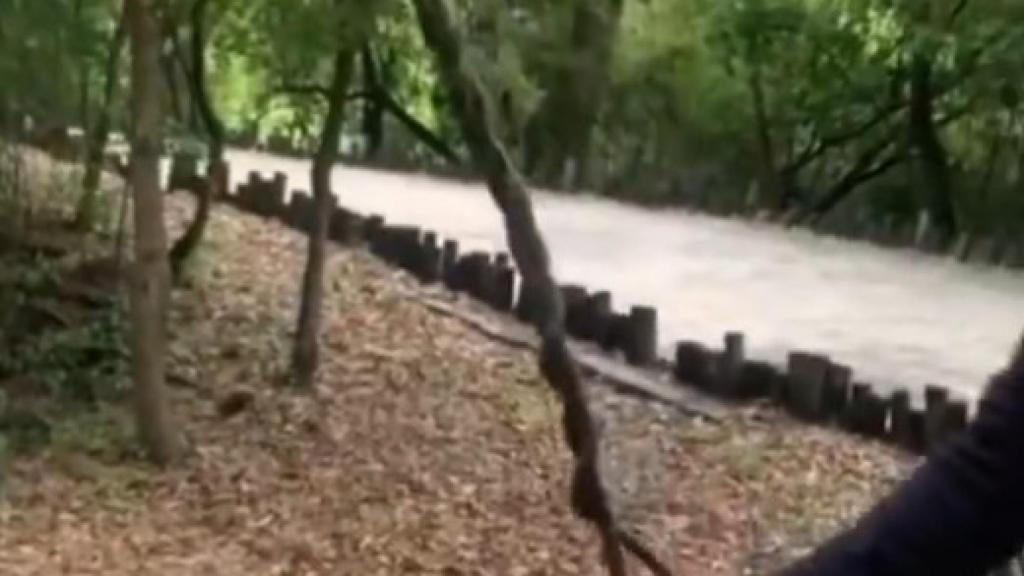 El sorprendente objeto que causa fascinación en los hombres e incredulidad de las mujeres