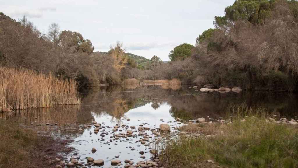 Área Recreativa El Encinarejo