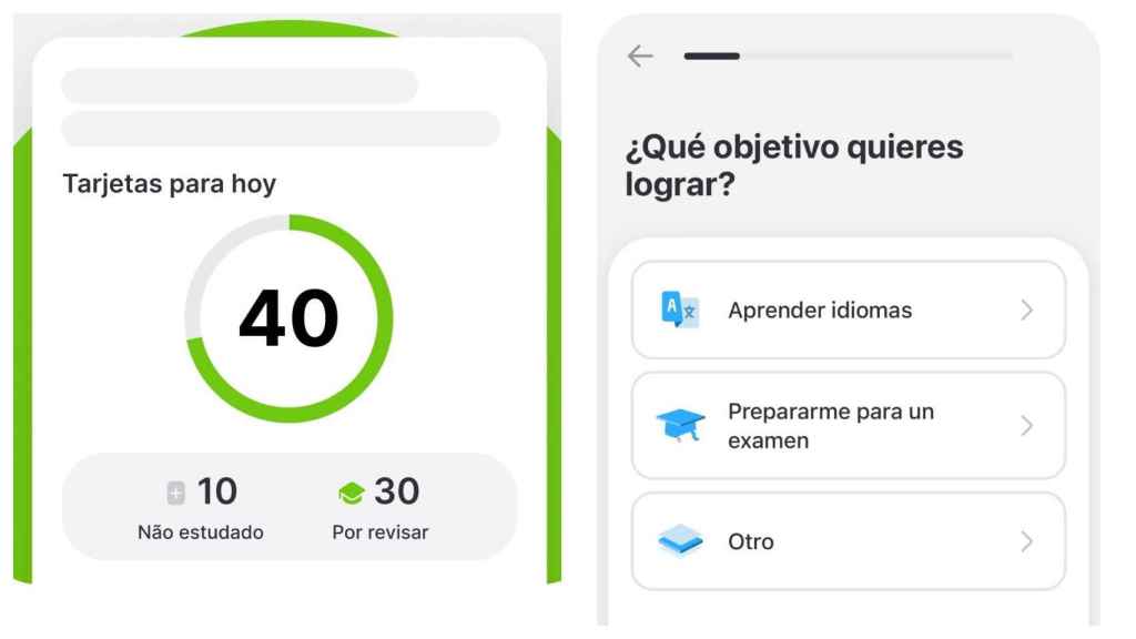 Imagen de la aplicación 'Anki'.