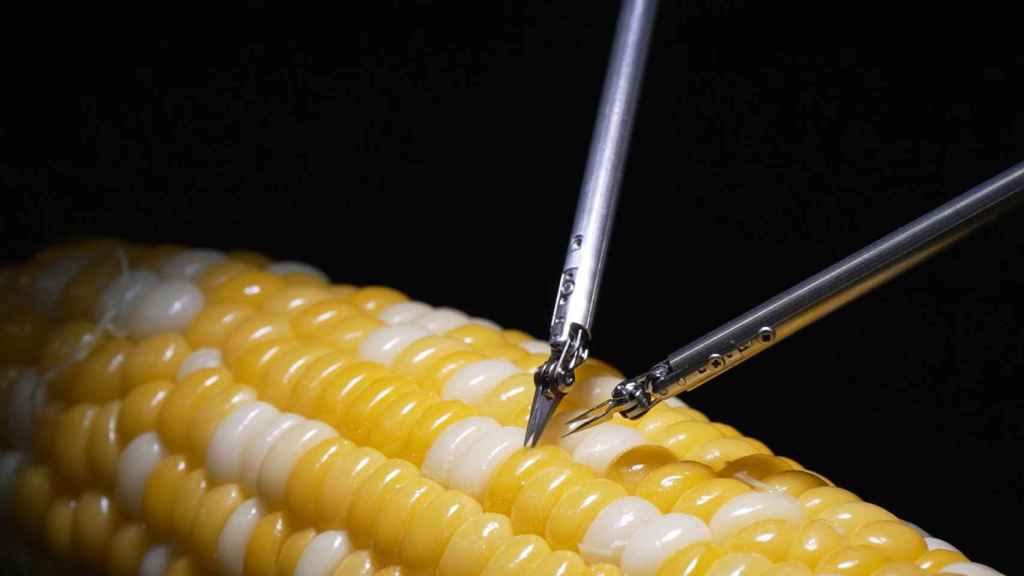 Robot operando en microcirugía