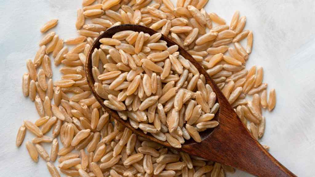 Grano de Kamut crudo.