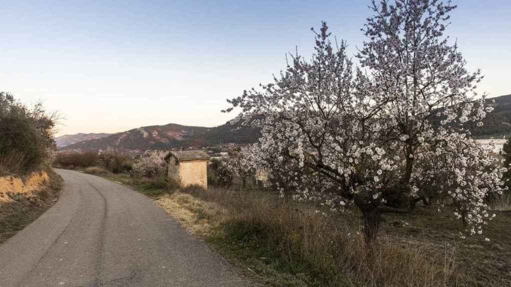 El paseo que rodea la finca 'Micalas', en Bocairent (Valencia). Eva Máñez