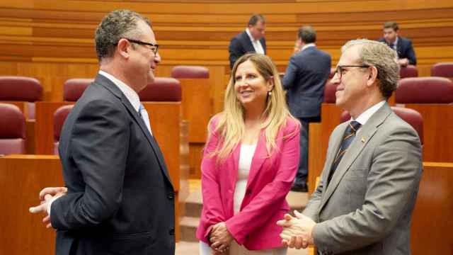 Los consejeros de Agricultura y Ganadería, Gerardo Dueñas, y de Industria y Empleo, Mariano Veganzones; y la procuradora de Vox, Ana Hernando, durante la segunda sesión del Pleno de las Cortes de Castilla y León