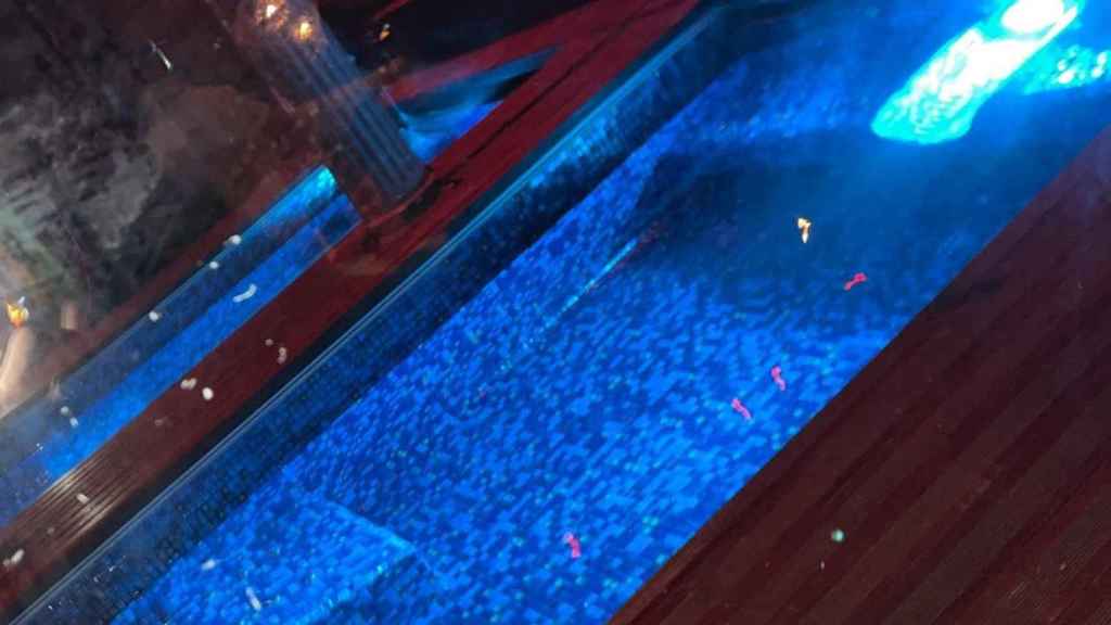 Reservado con piscina en un 'after' de Madrid.