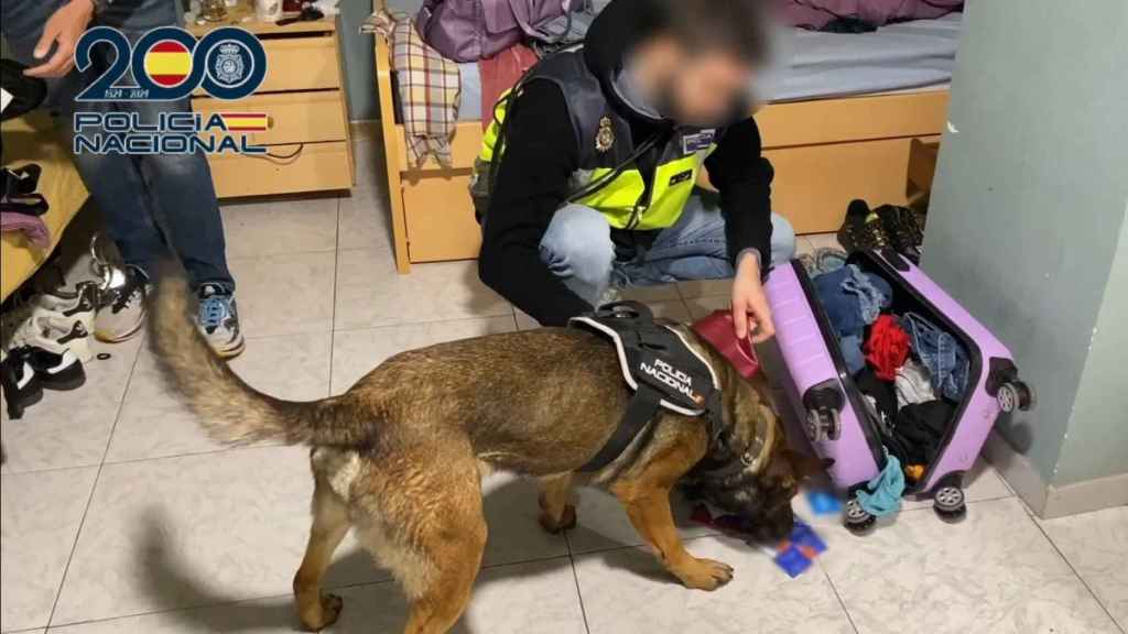 Los agentes inspeccionaron la vivienda en la que actuaba esta organización criminal.