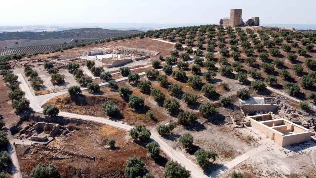 Imagen área de algunas estructuras del yacimiento.
