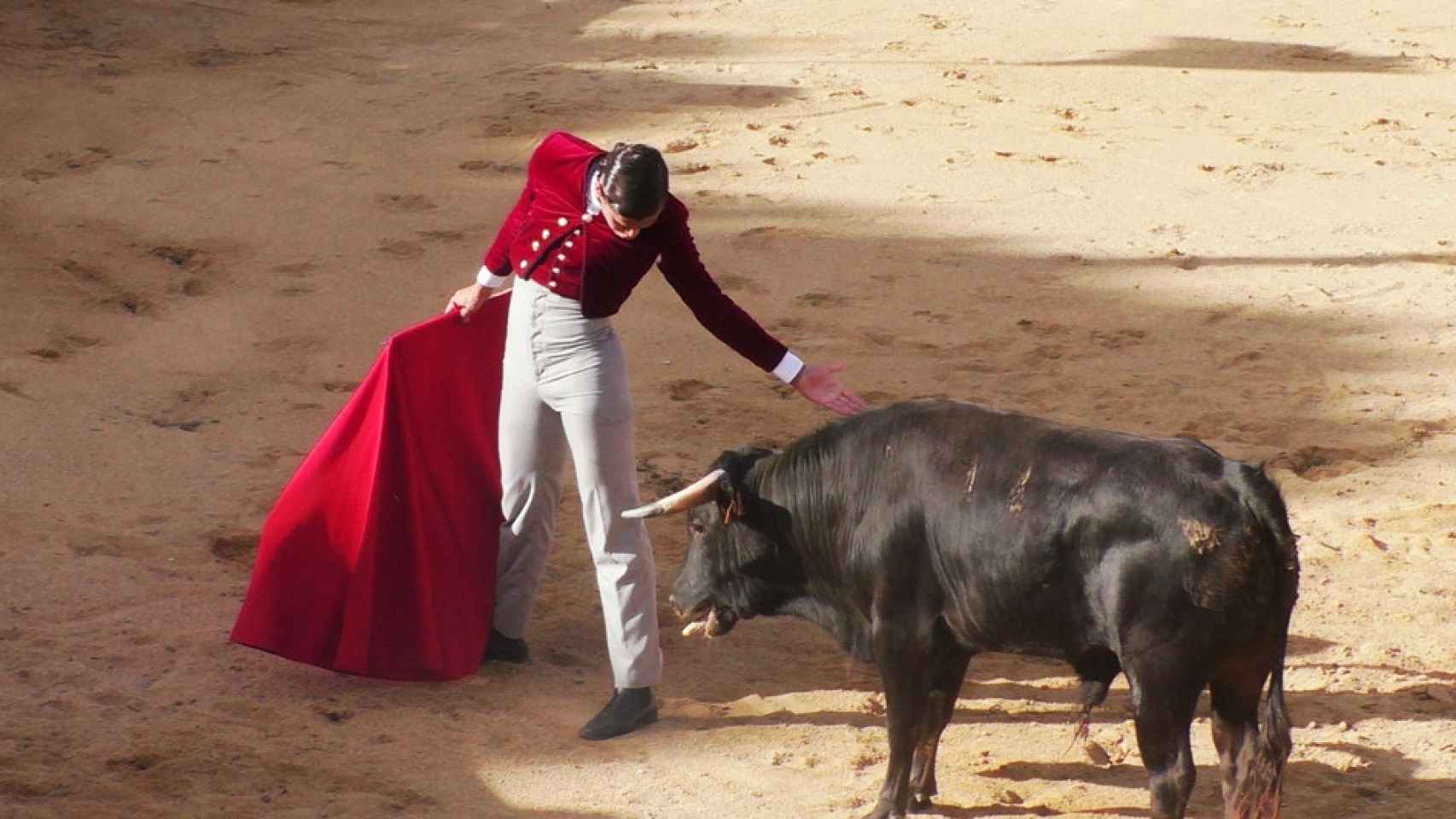 El IV Certamen de Escuelas Taurinas Villa de Ampudia, este fin de semana