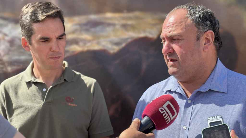 El consejero de Agricultura, Ganadería y Desarrollo Rural, Julián Martínez Lizán.