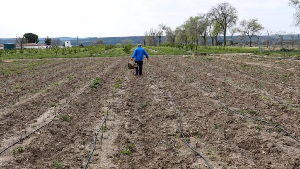 Varios pueblos de Ciudad Real sufren una oleada de robos en el campo: Va a suponer la ruina