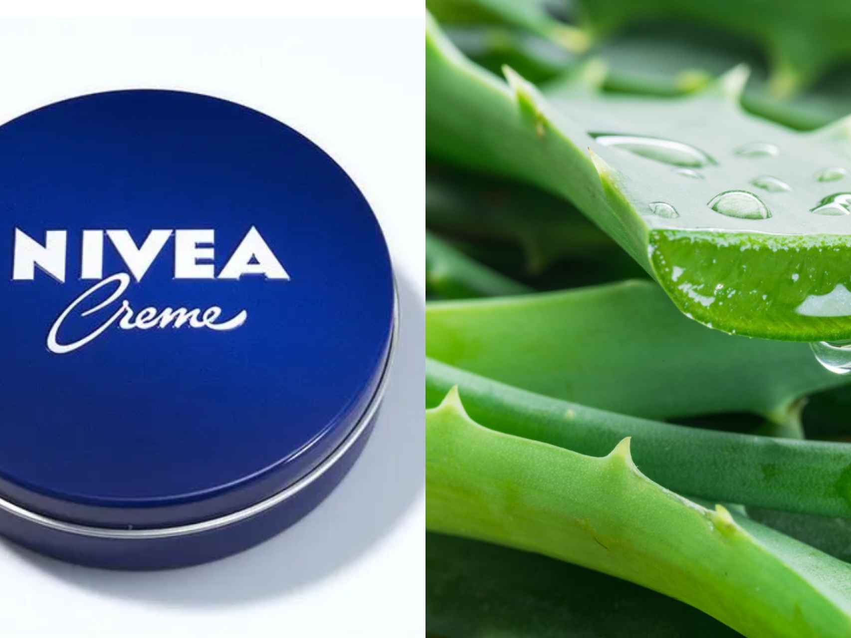 jelly aloe vera Pure Aloe Vera Gel main image 0