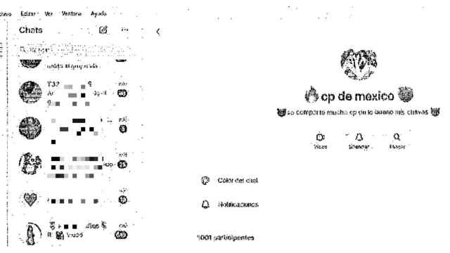 Una captura del supuesto grupo internacional de pedófilos detectado por la Policía Nacional.