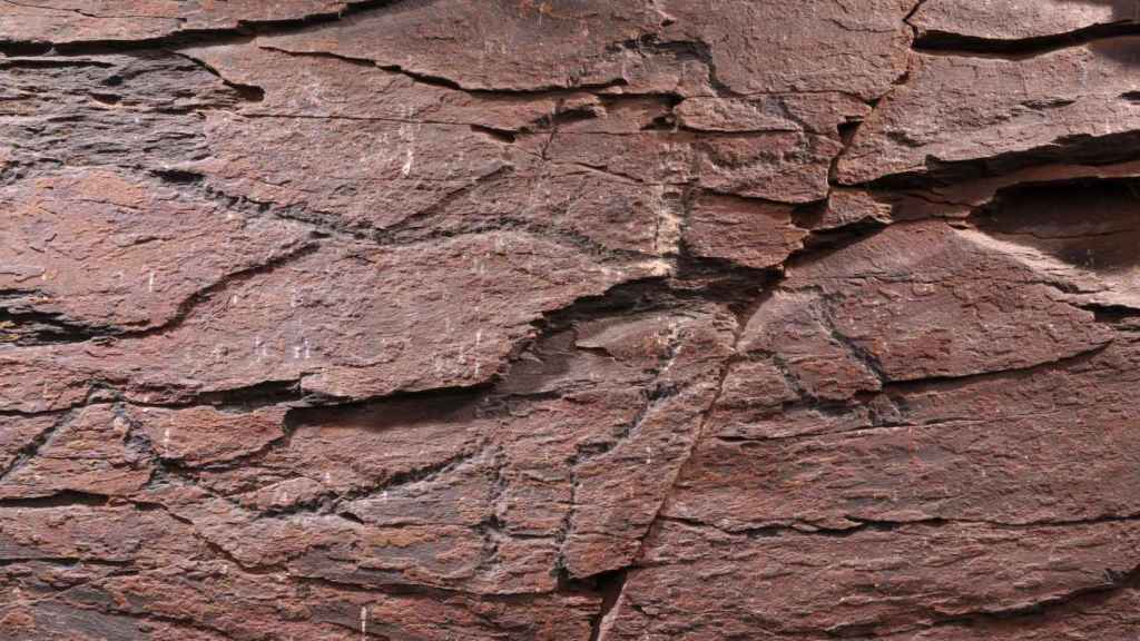 Yacimiento arqueológico de La Salud en Salamanca