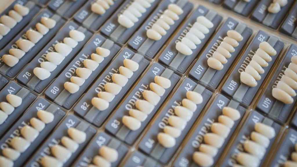 Una selección de tablillas de seis dientes de diferentes tamaños y pigmentaciones.