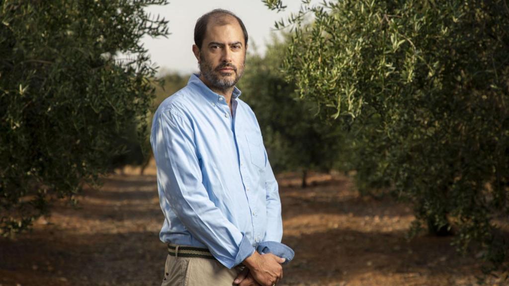El olivarero al que no le gustan las aceitunas pero dedica su vida a ellas
