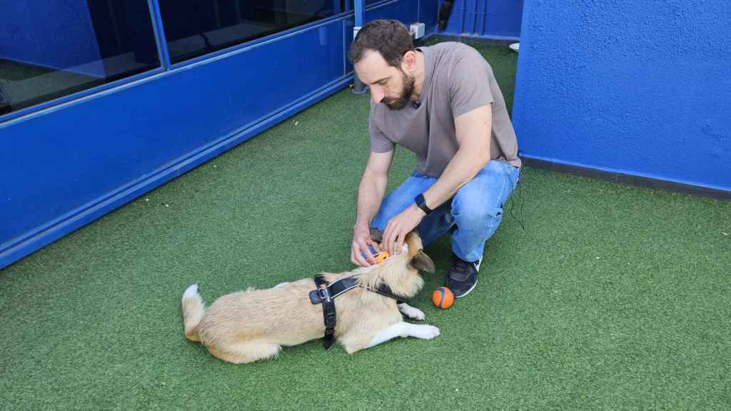 Jaime Álvarez de Aiuken Cybersegurity con Ransom