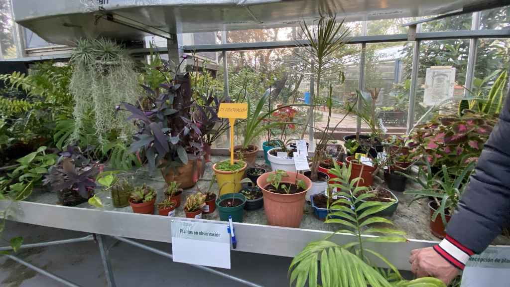 Área de plantas que están en observación.