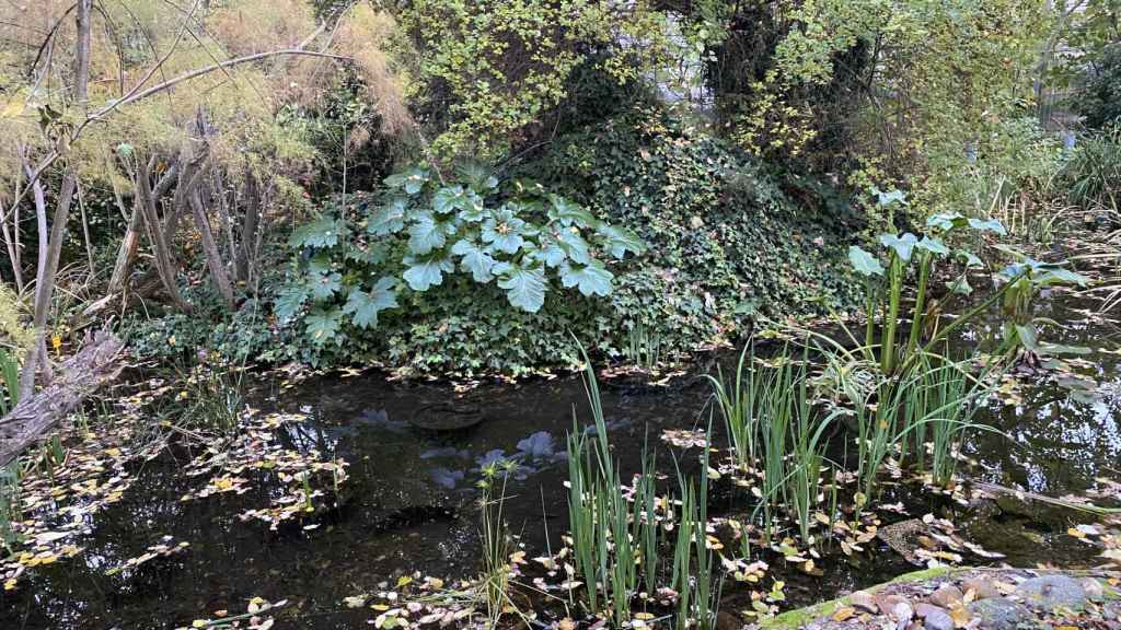 Espacio del estanque de baño con estilo japonés.